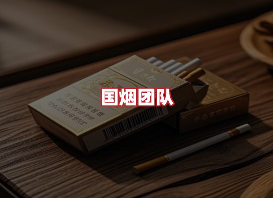 国烟团队
